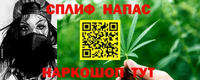 спиды Пугачёв