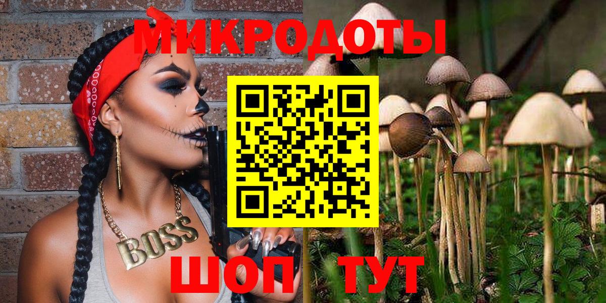 Галлюциногенные грибы ЛСД Отрадный