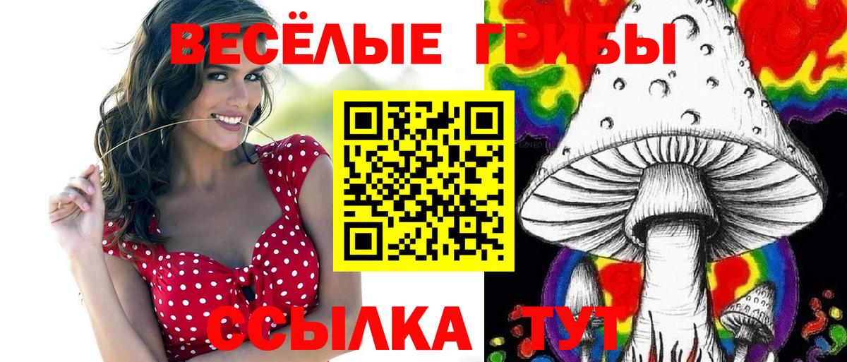Отрадный  Галлюциногенные грибы MAGIC MUSHROOMS  Псилоцибиновые грибы Psilocybine cubensis  Вход с VPN 