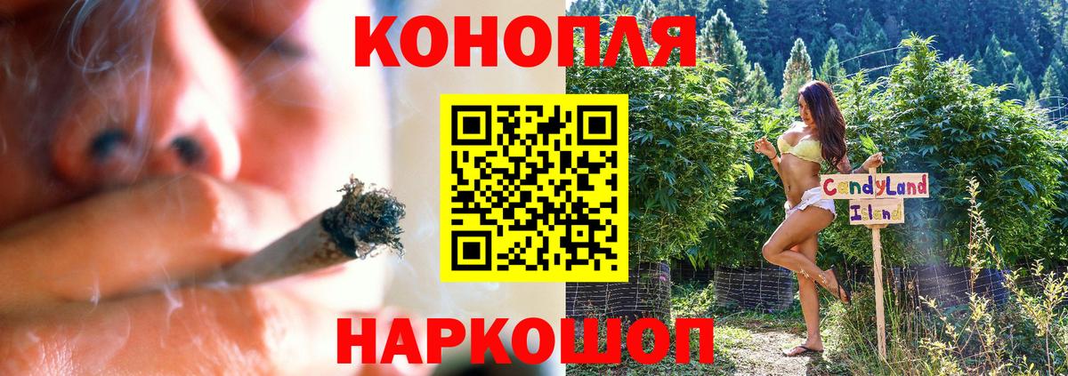 Бошки марихуана THC 21% Отрадный